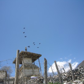 annapurna trek view